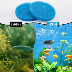 Tranqun blue filter pad close-up captures fine waste particles.
