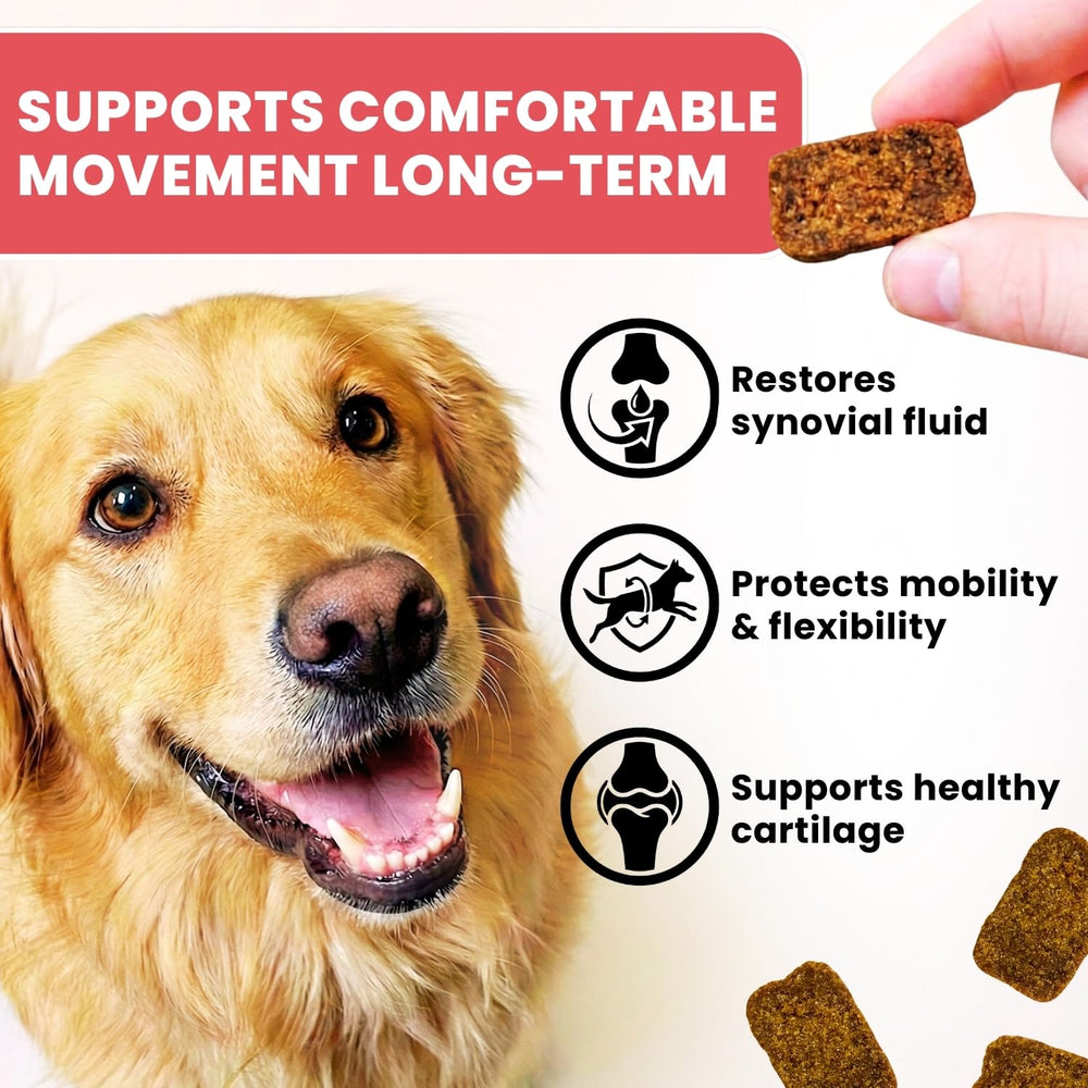 TRATEZ duck-flavor soft chews close-up highlight tasty appeal for active dogs