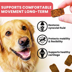 TRATEZ duck-flavor soft chews close-up highlight tasty appeal for active dogs