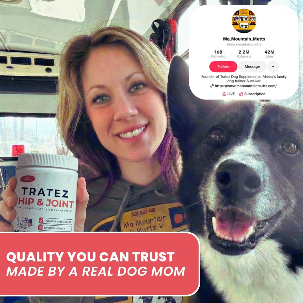 TRATEZ green-lipped mussel icon dog supplement emphasized natural mobility support