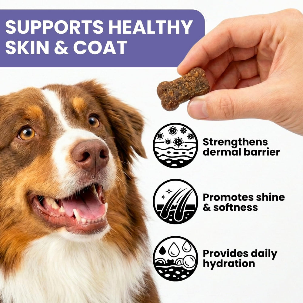 TRATEZ Skin and Coat jar open beside a happy dog.