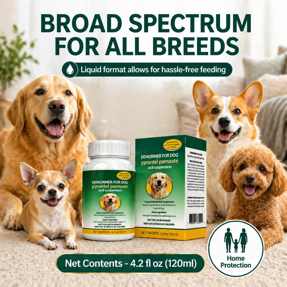 TravelMASTER Dog Dewormer Liquid bottle in use during feeding.