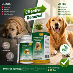 TravelMASTER Dog Dewormer Liquid label with usage guidance.