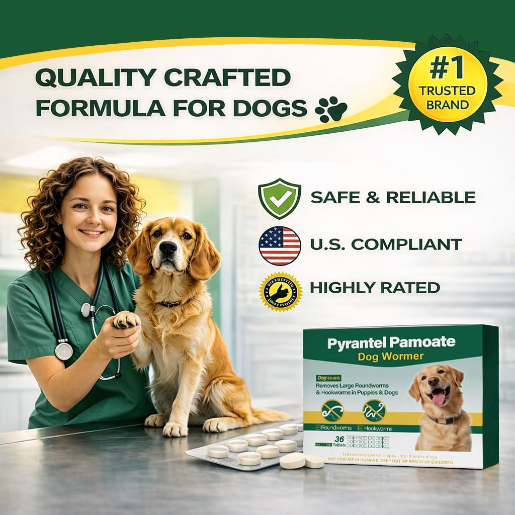 TravelMaster dog dewormer packaging-36-tablets clear packaging for multi-dog use.