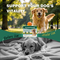 TravelMaster dog dewormer puppy 8 weeks usage suits young dogs.
