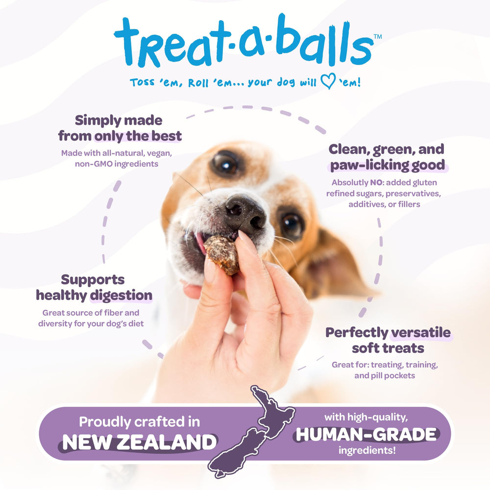 TREAT-A-BALLS banana and blueberry ball — soft, chewy, great for training.