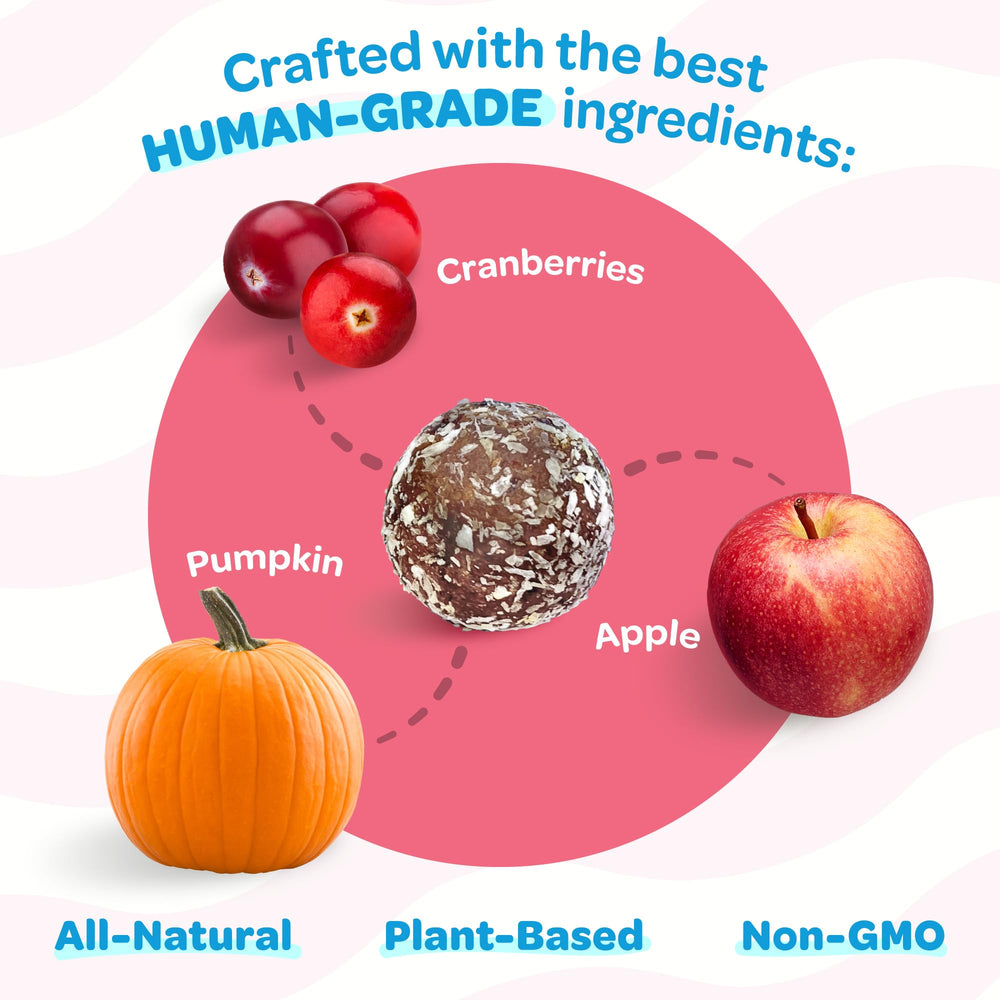 TREAT-A-BALLS Low-Calorie Dog Treat for weight-conscious snacking