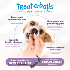 Close-up of soft, chewy TREAT-A-BALLS treats with visible texture.