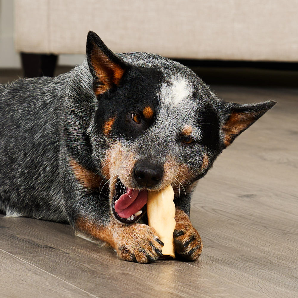 Treatly long-lasting chew texture for strong chewers.