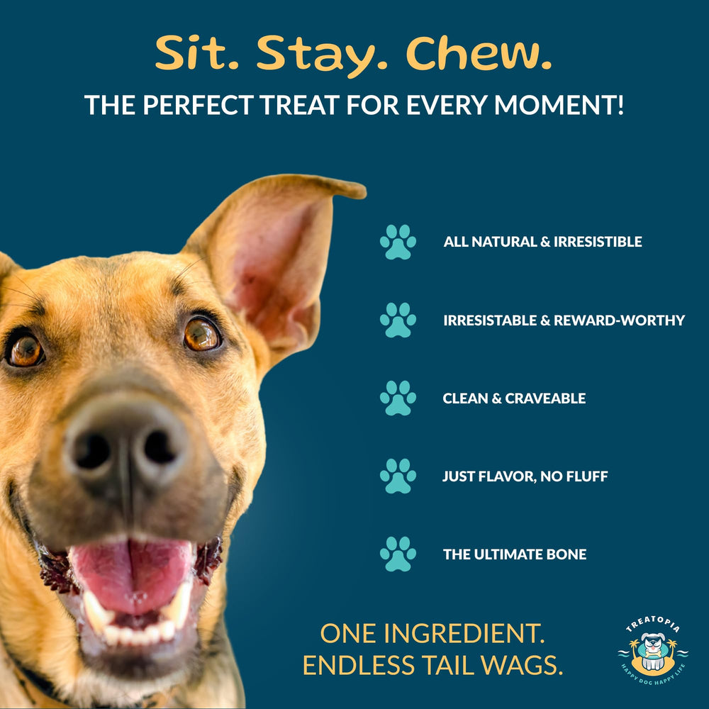 TREATOPIA Adventure Dynamo single-ingredient beef chew for simple natural nutrition