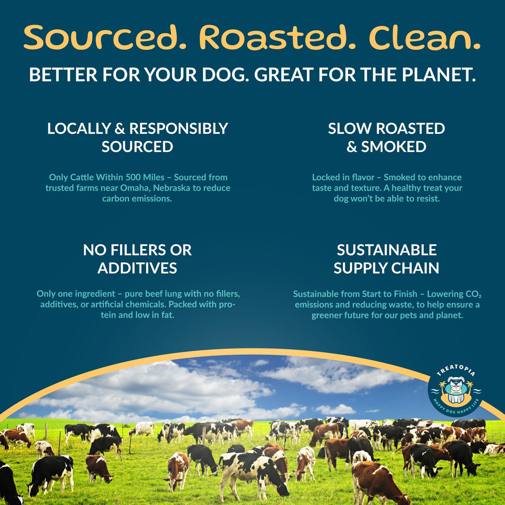TREATOPIA Adventure Dynamo USA-made beef chew pack supporting responsible sourcing