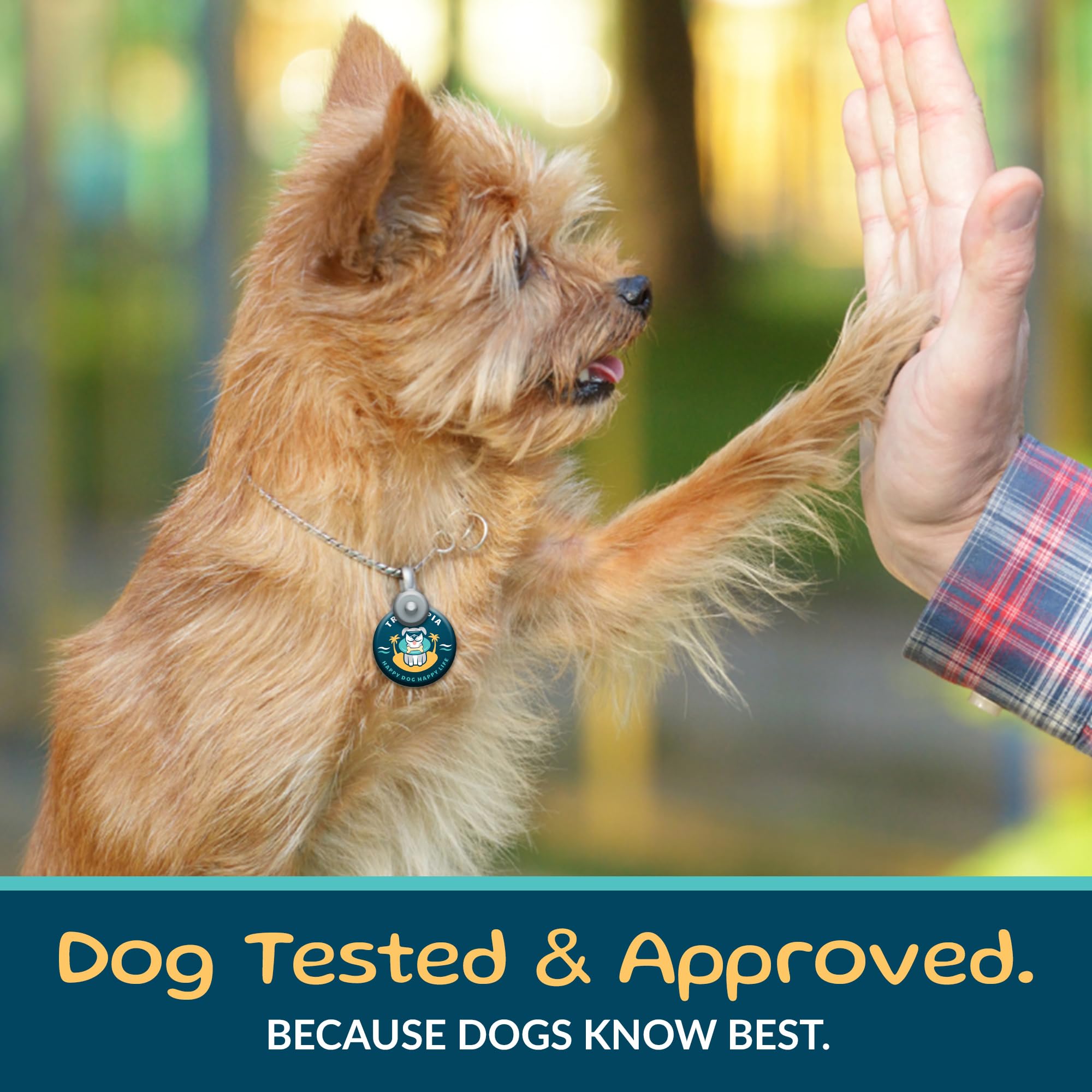 TREATOPIA Beef Lung Nuggies resealable pouch keeps freshness.