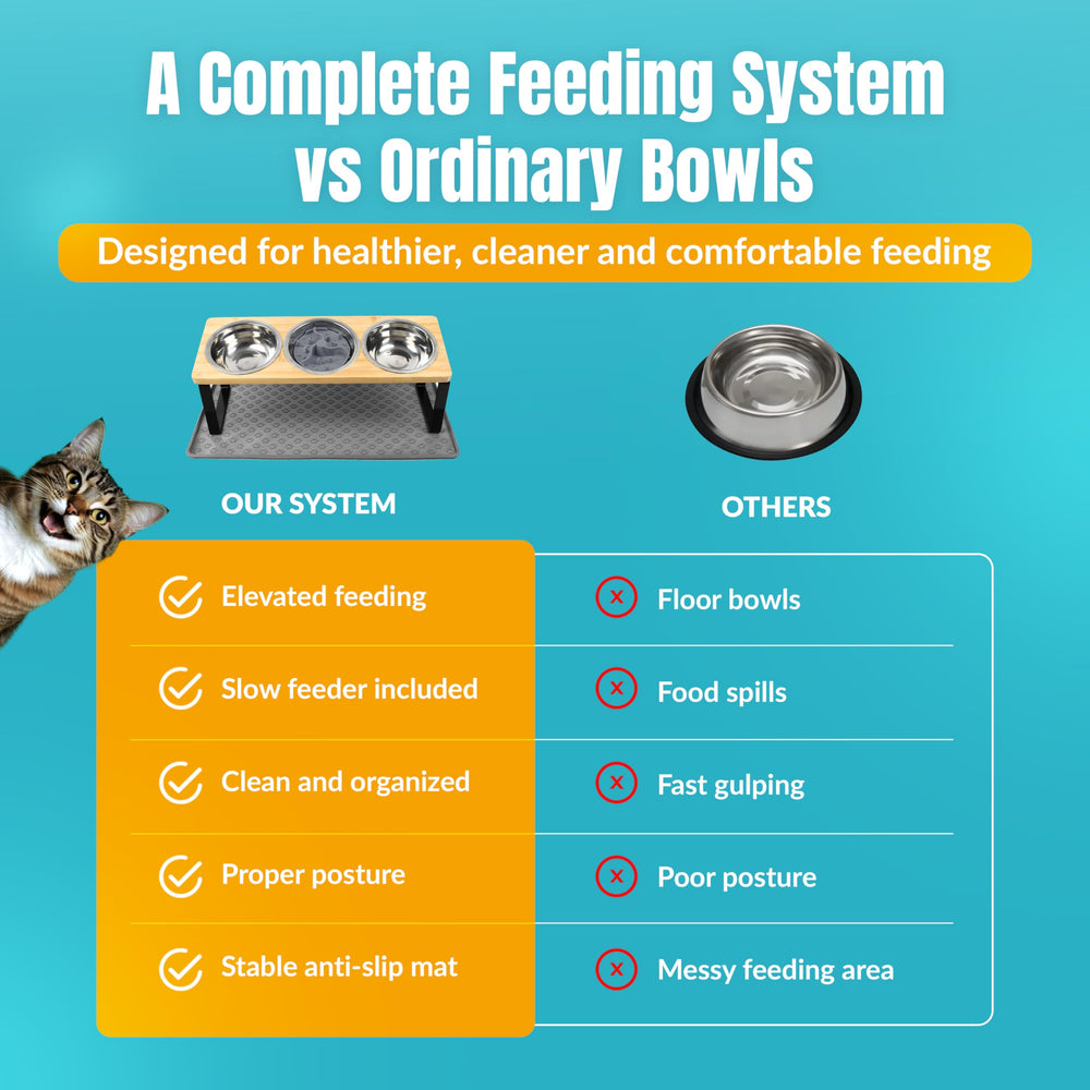 TRECKPET easy-clean design promotes quick maintenance after meals.