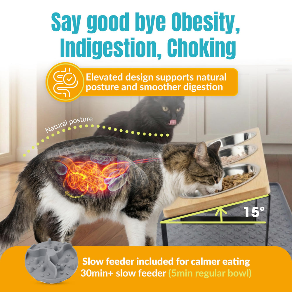 TRECKPET tilted 15-degree bowls highlight ergonomic design for comfortable cat dining.