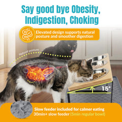 TRECKPET tilted 15-degree bowls highlight ergonomic design for comfortable cat dining.