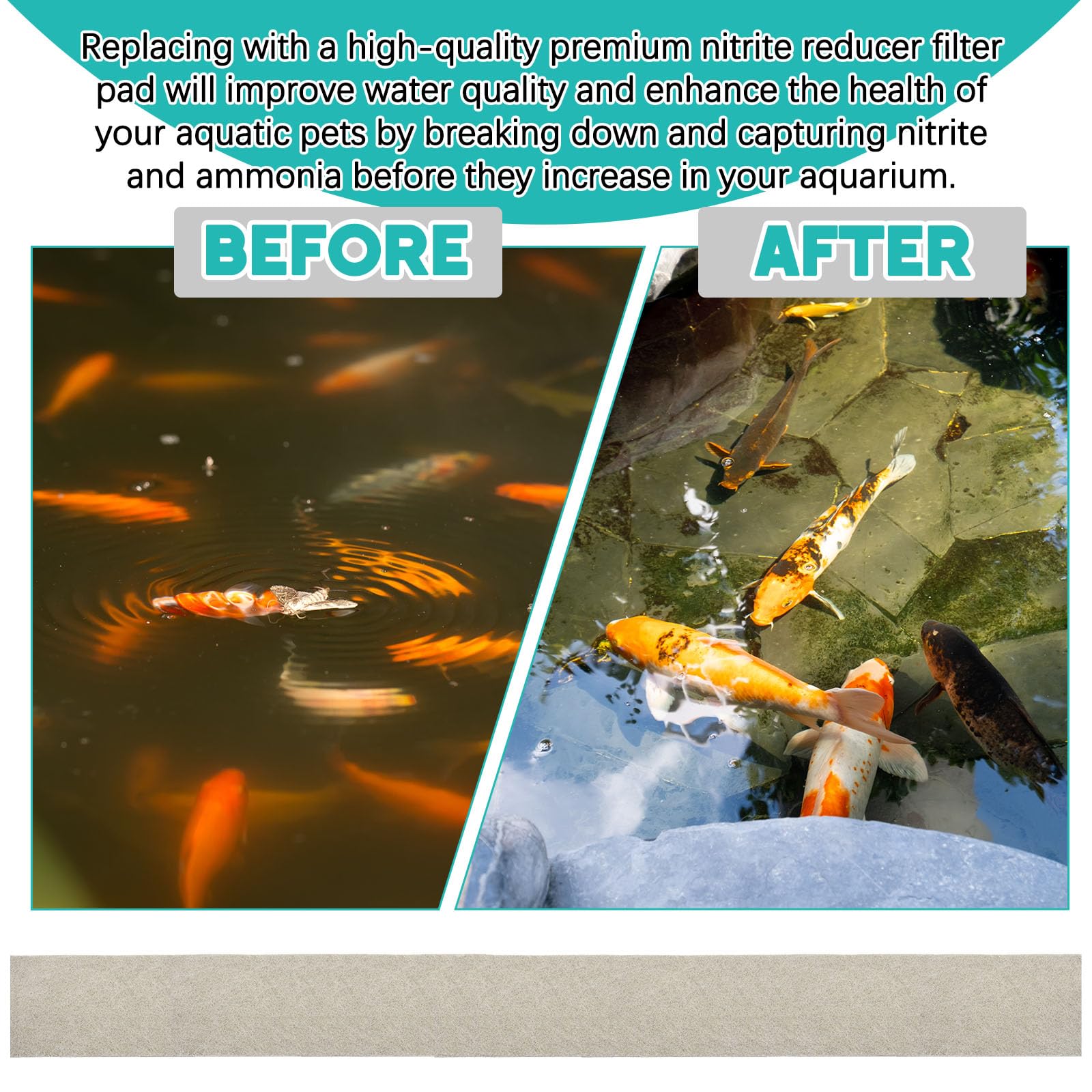 Treela high-density filter sponge supports strong filtration with gentle flow.