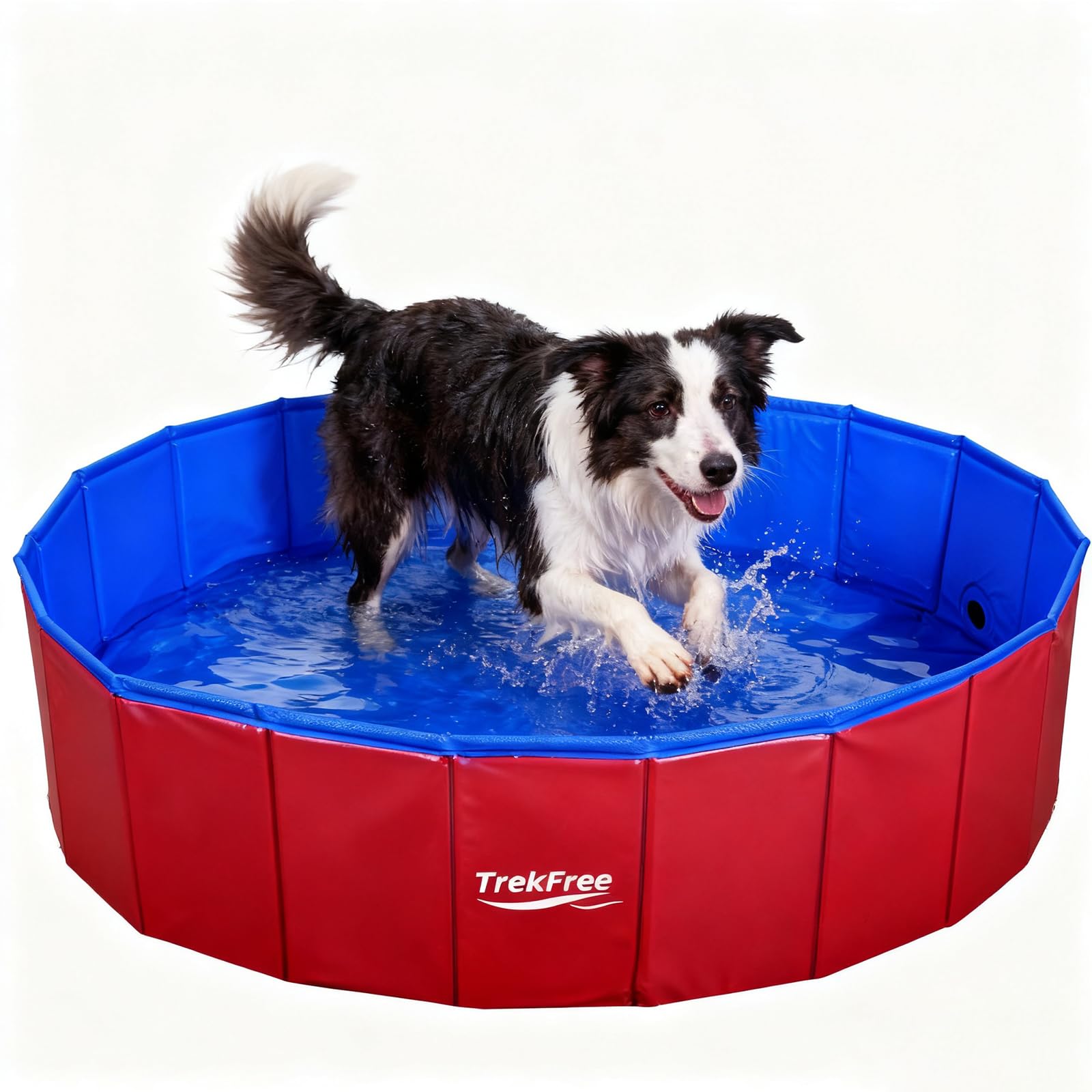 TrekFree foldable pet pool setup in a backyard for cooling on sunny days