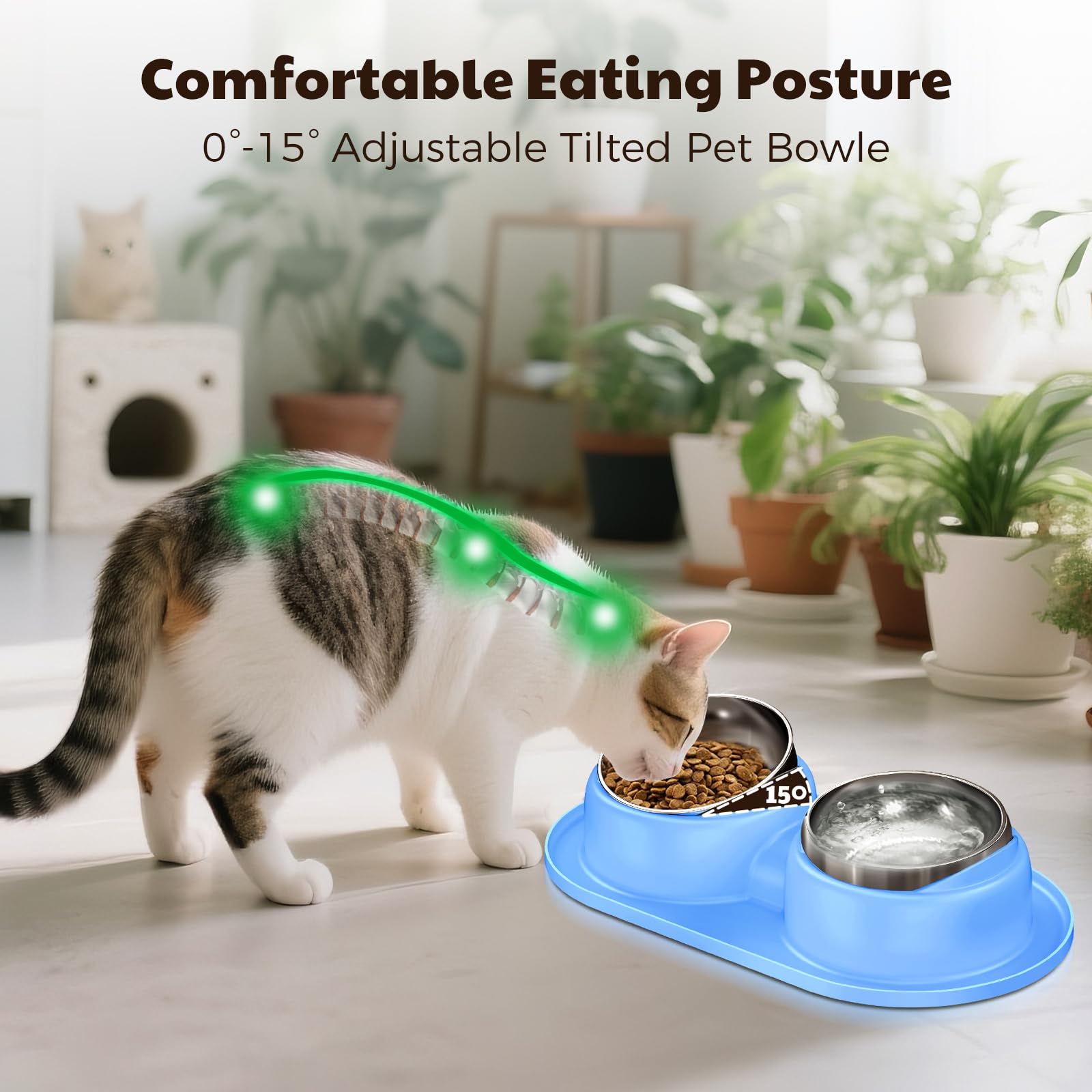 Trekora Cat Bowls non-spill silicone mat keeps feeding area clean.