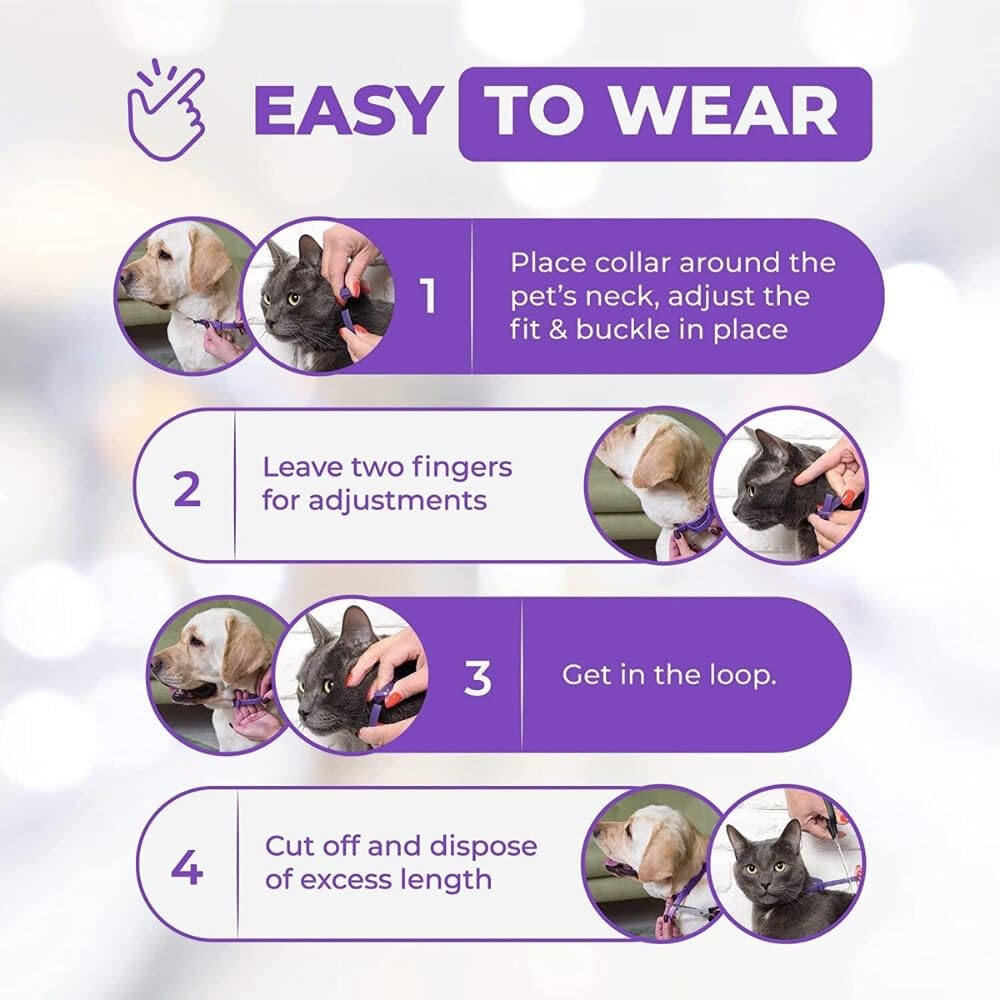 Close-up of Trendy Hub cat calming collar strap detail for comfort