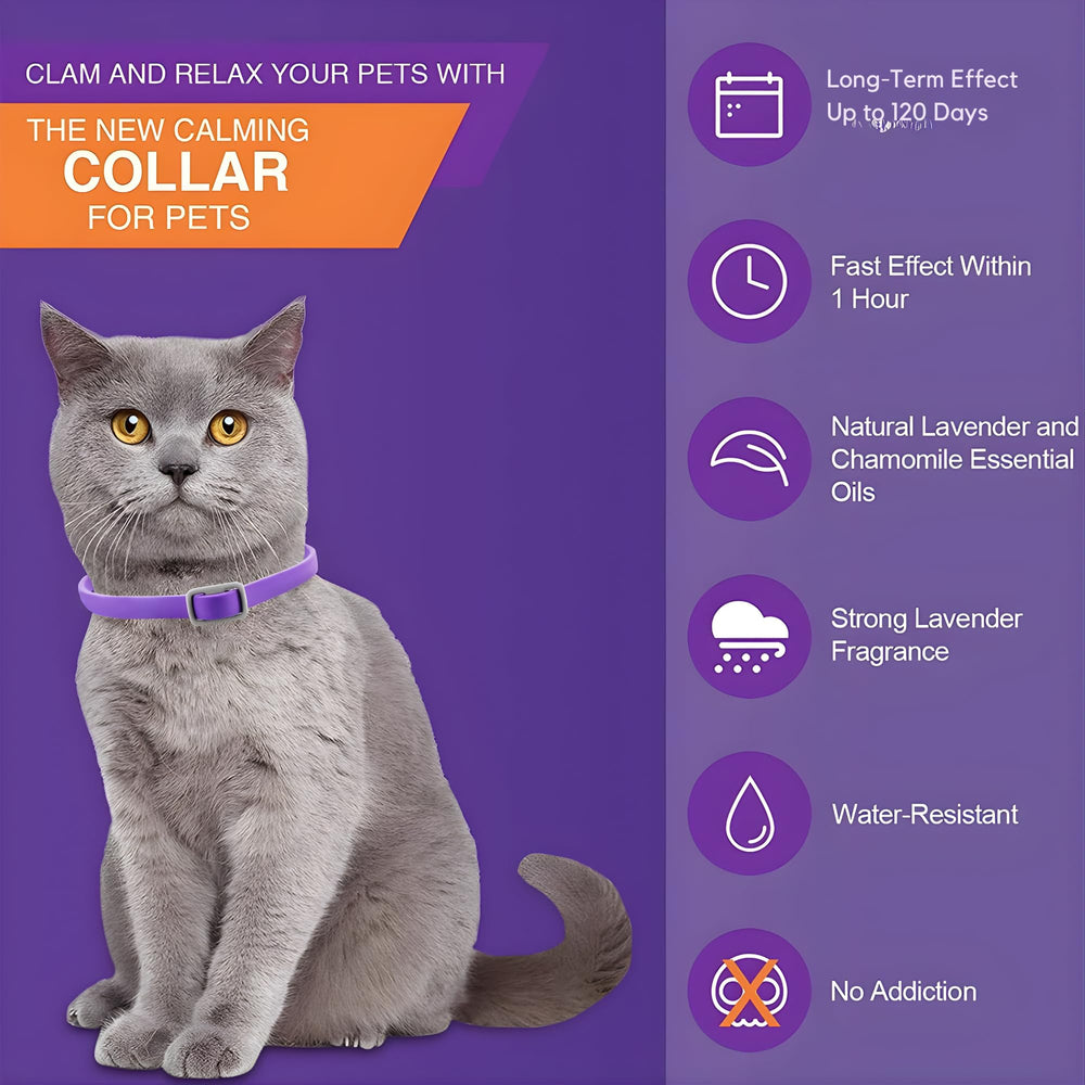 Trendy Hub cat calming collar during heat cycle for calmer behavior