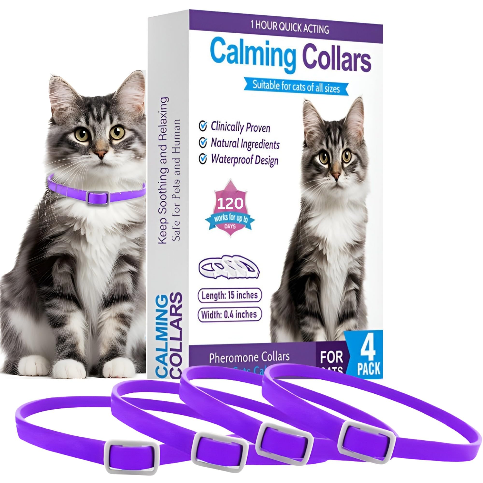 Trendy Hub cat calming collar worn by cat to promote calm at home