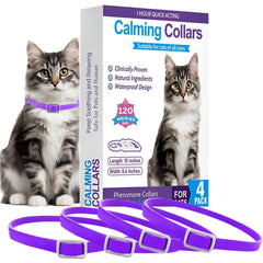 Trendy Hub cat calming collar worn by cat to promote calm at home