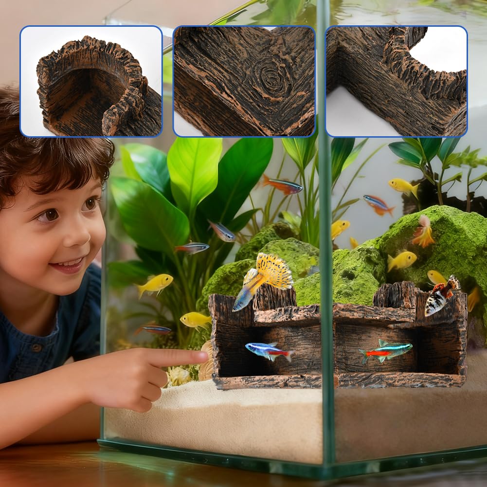 Trenqular compact hideout invites close-up viewing of fish behavior