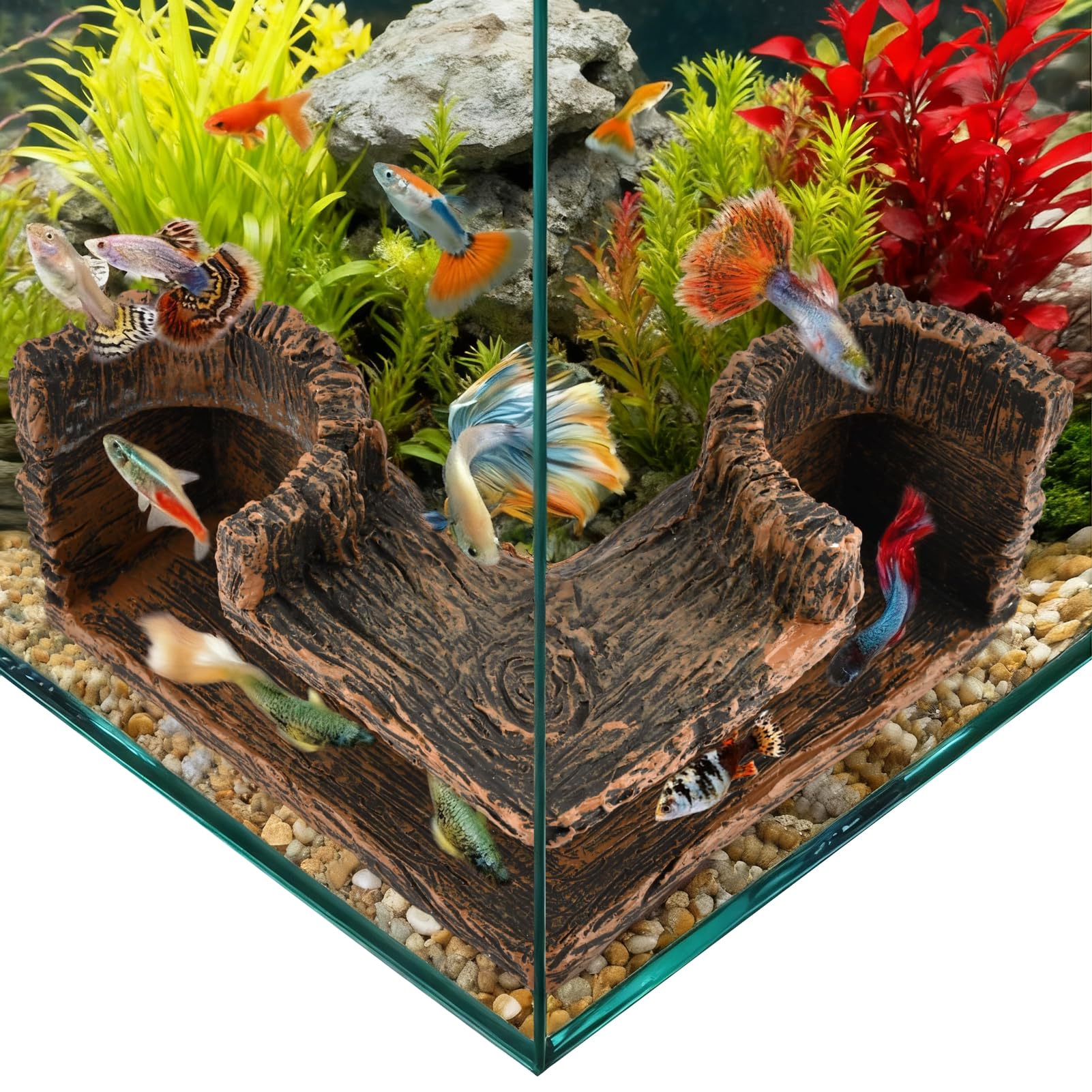 Trenqular dual-hole cave supports hiding spots in tanks