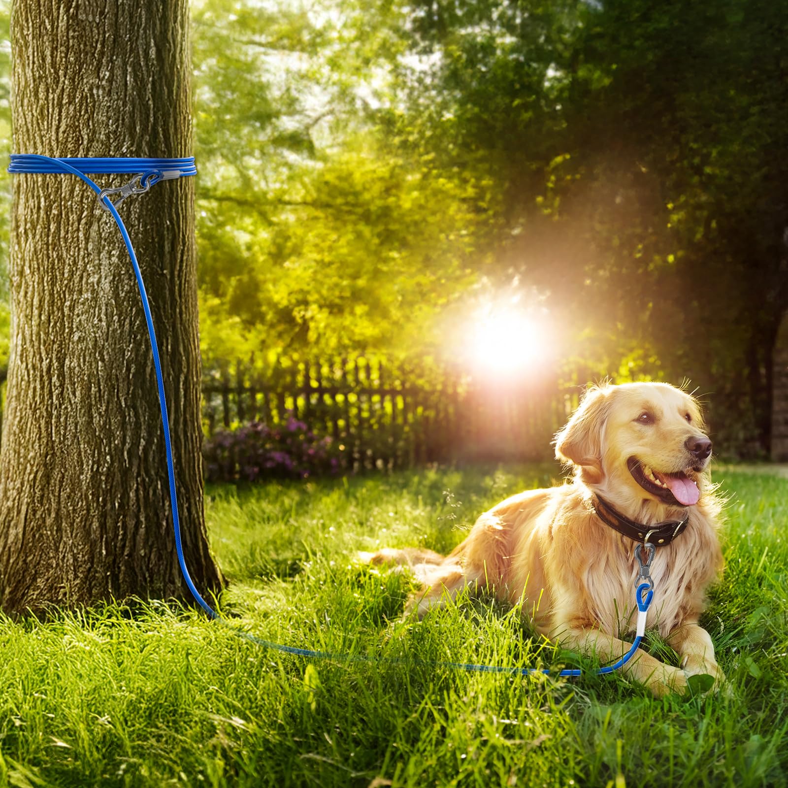 Tresbro 30ft tie out with anti-bite vinyl coating for outdoor use.