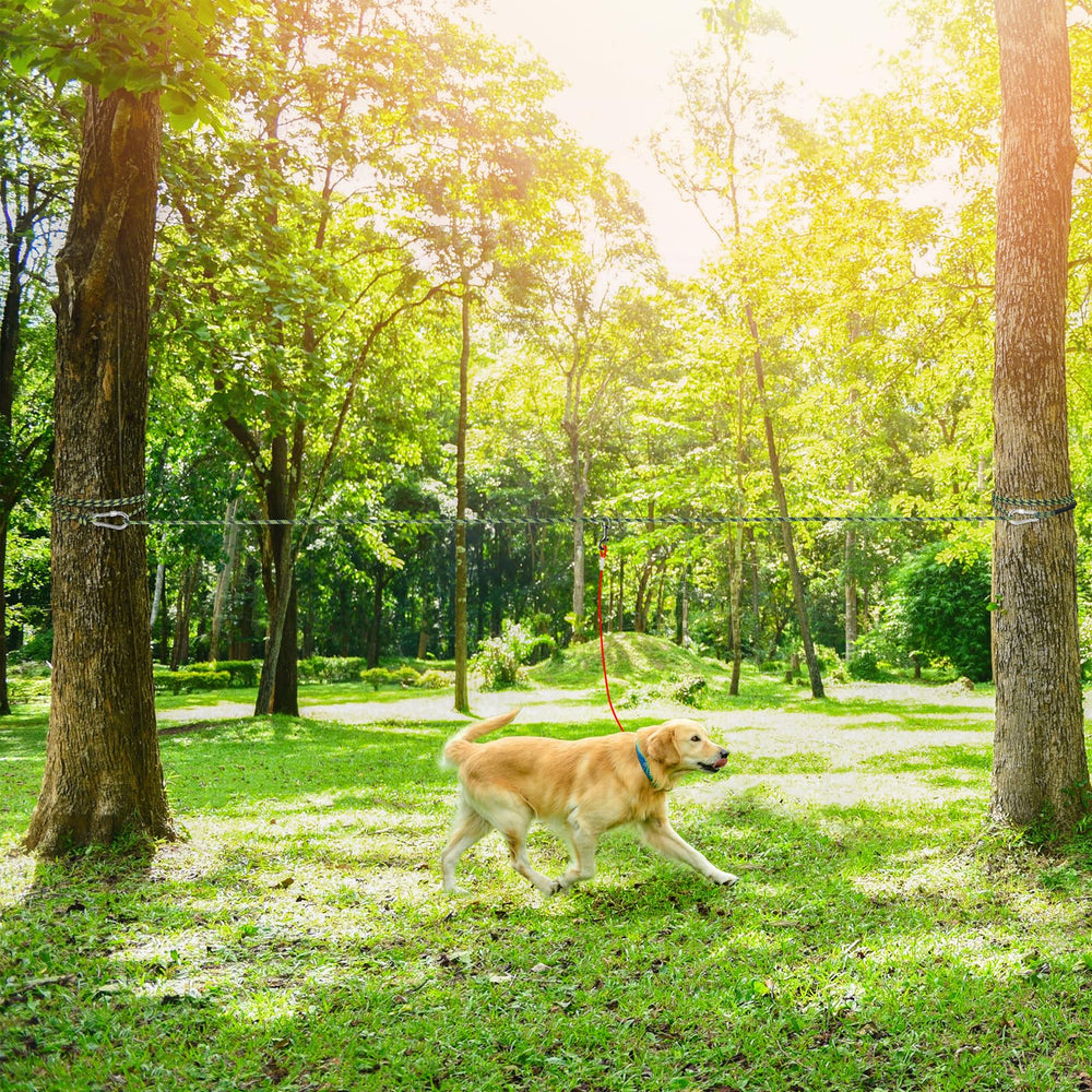 Tresbro packable storage bag keeps the leash neatly contained for trips.