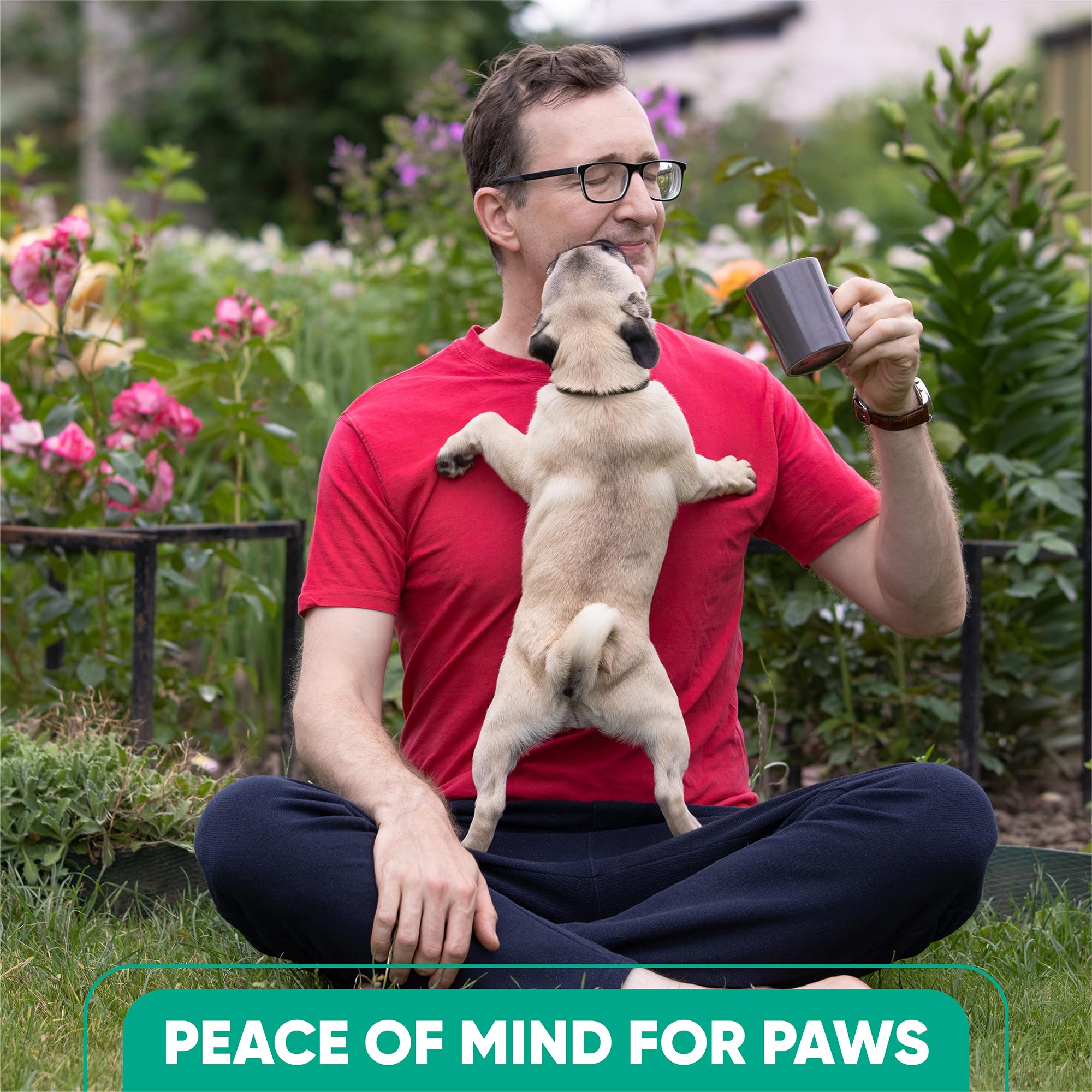 TriOak diffuser aiding households with puppy energy and daily stress.