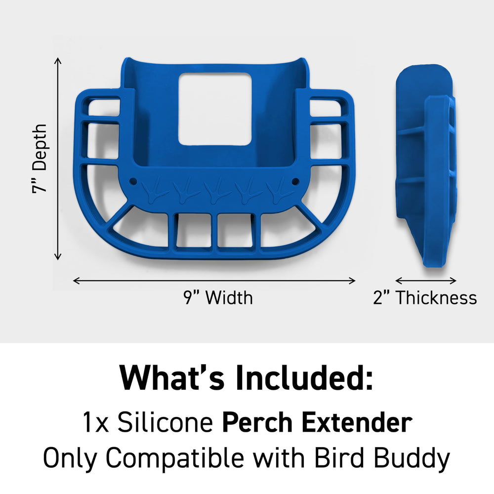 Cardinals, finches, chickadees, and jays perch securely.