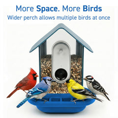 Tributary Brands wide platform on Bird Buddy supports multi-bird feeding.