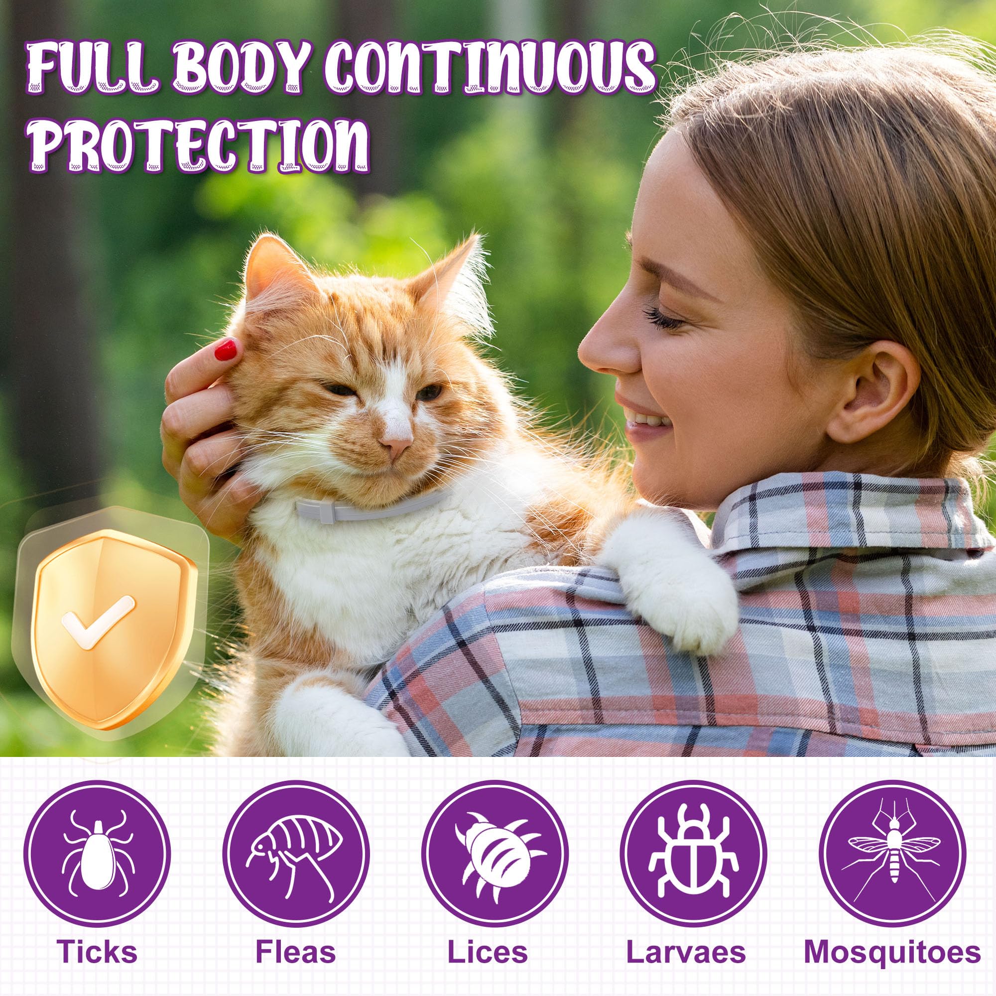 Multi color pack highlights color options for cats