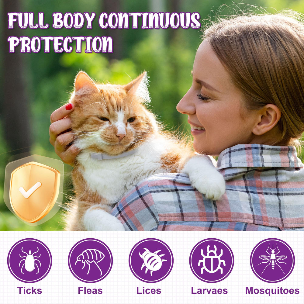 Multi color pack highlights color options for cats