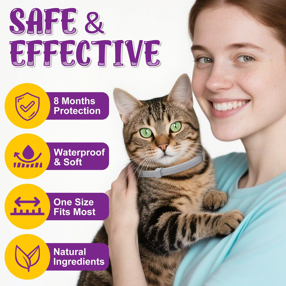 Cat wearing Trihood collar outdoors demonstrates waterproof durability