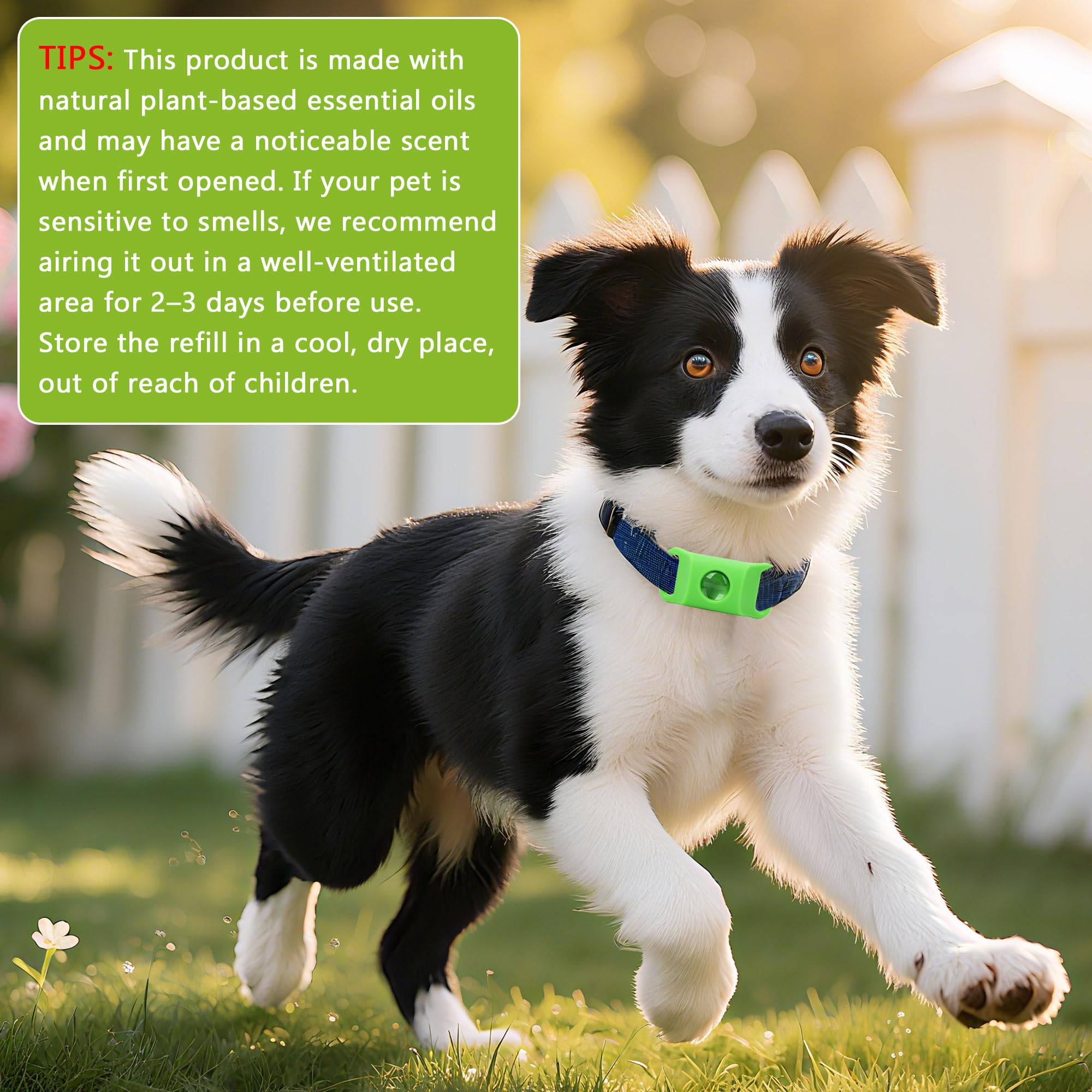 Trihood all-breeds green dog tag ready for any pup's adventures.