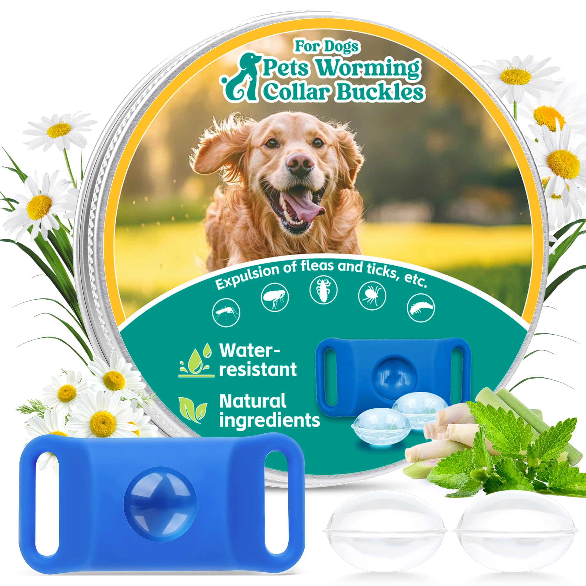Trihood blue waterproof dog tag attached to a collar during outdoor use.