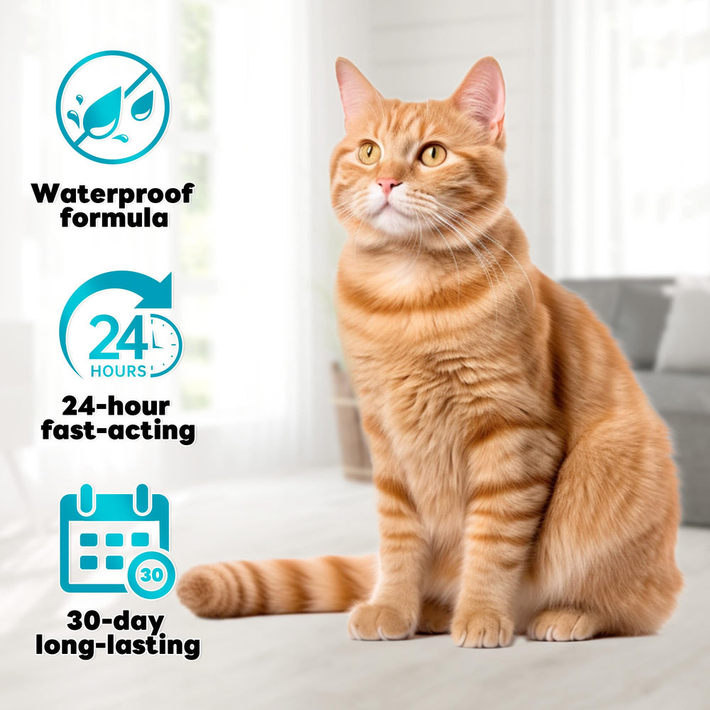 Trihood cat applying topical between shoulders shows simple dosing.