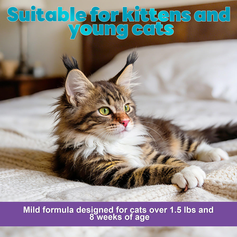 Trihood cat flea and tick topical quick-drying formula on fur.