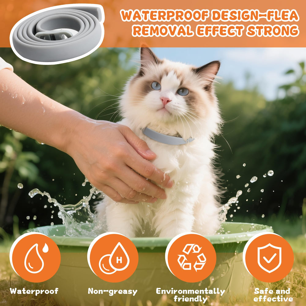 Trihood collar on a cat demonstrates comfortable, secure fit.