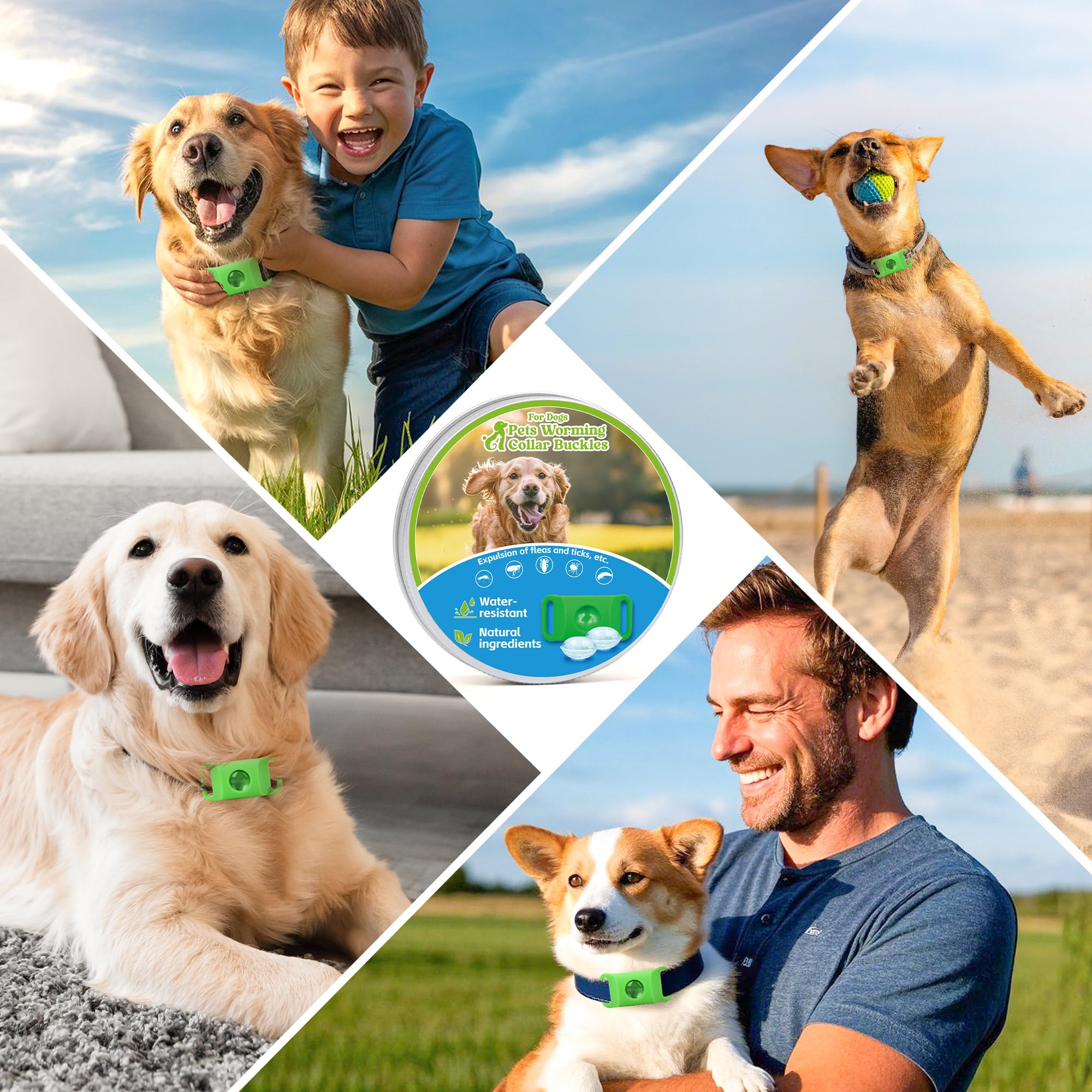 Trihood dog tag closeup non-toxic material highlights pet-safe construction.