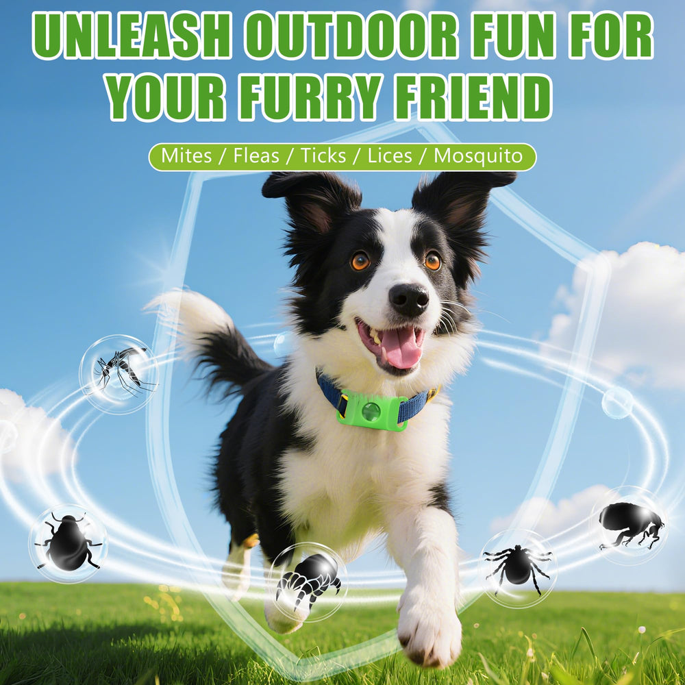 Trihood easy-attach dog tag on collar for quick setup.