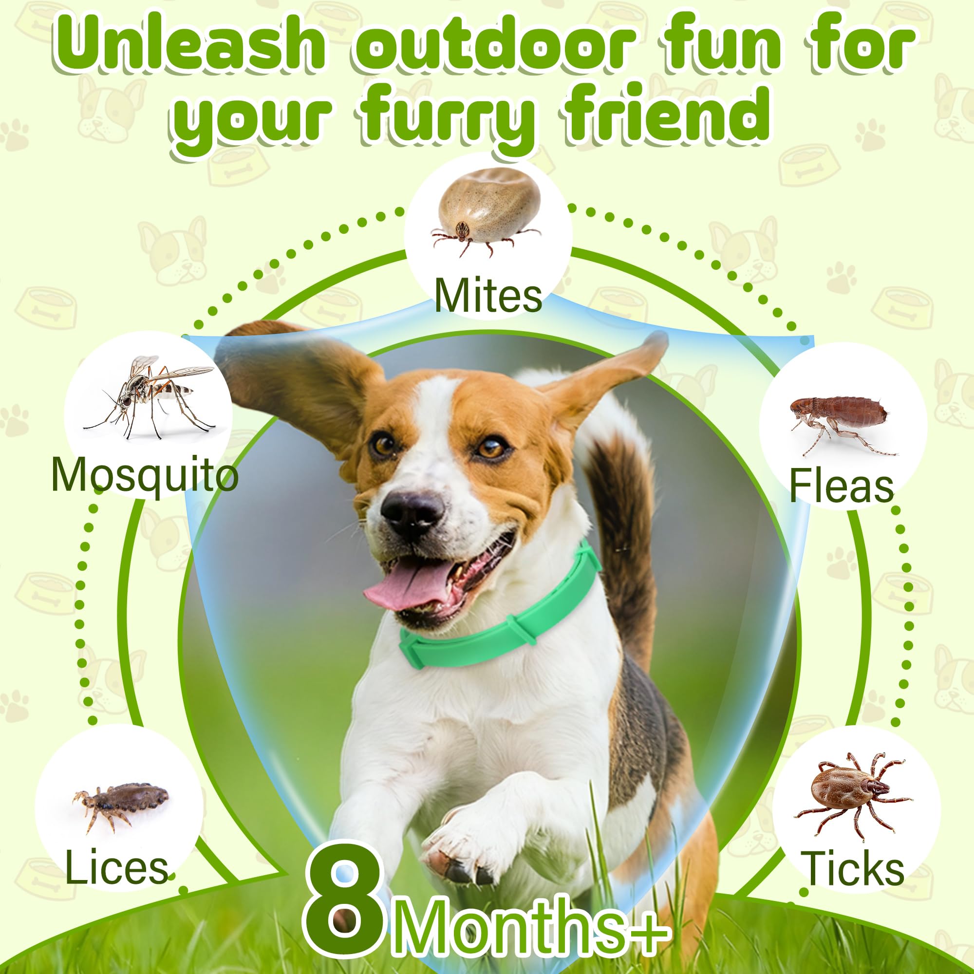 Trihood adjustable-fit collar shown for easy sizing and secure wear.