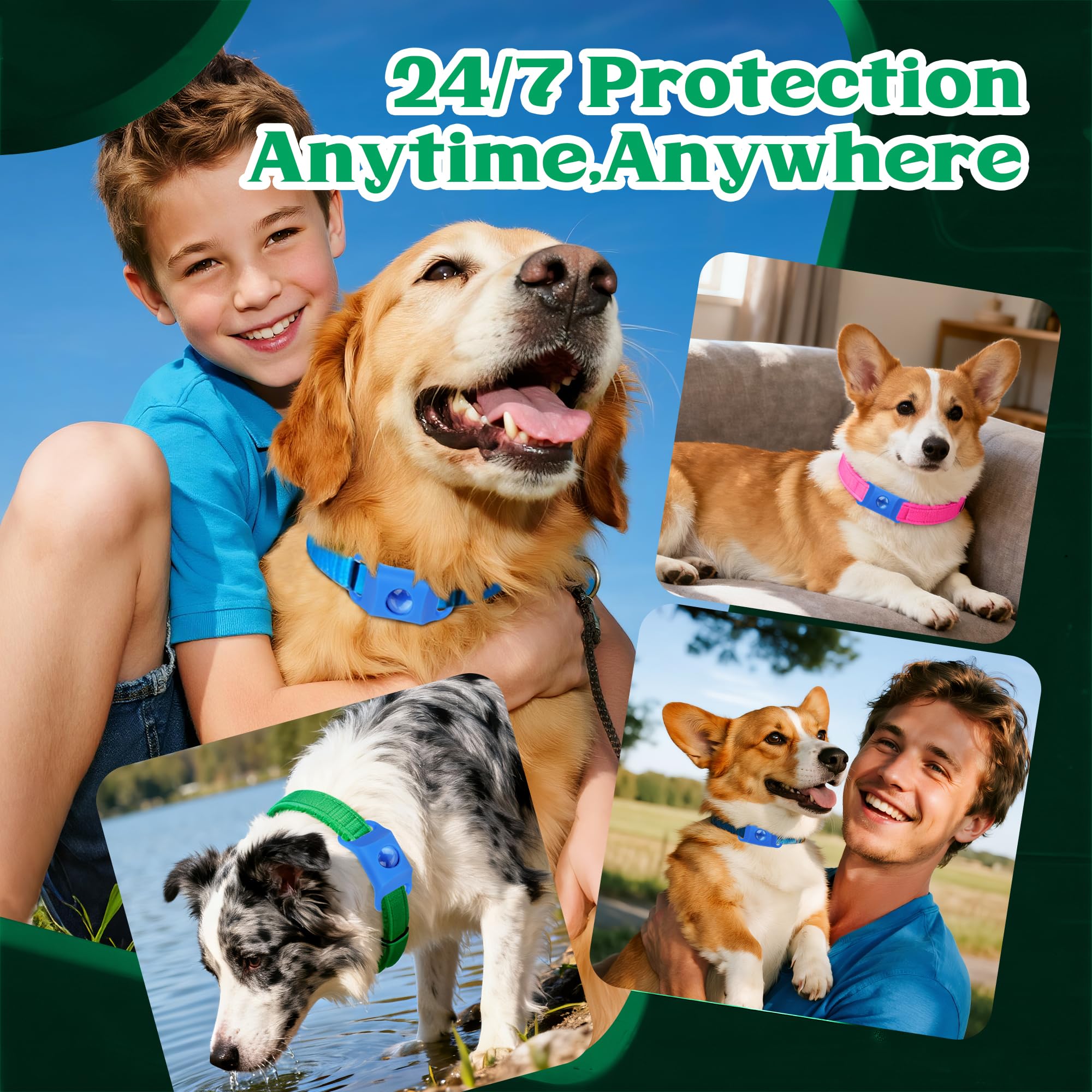 Durable Trihood waterproof dog tag ready for swims and rain.