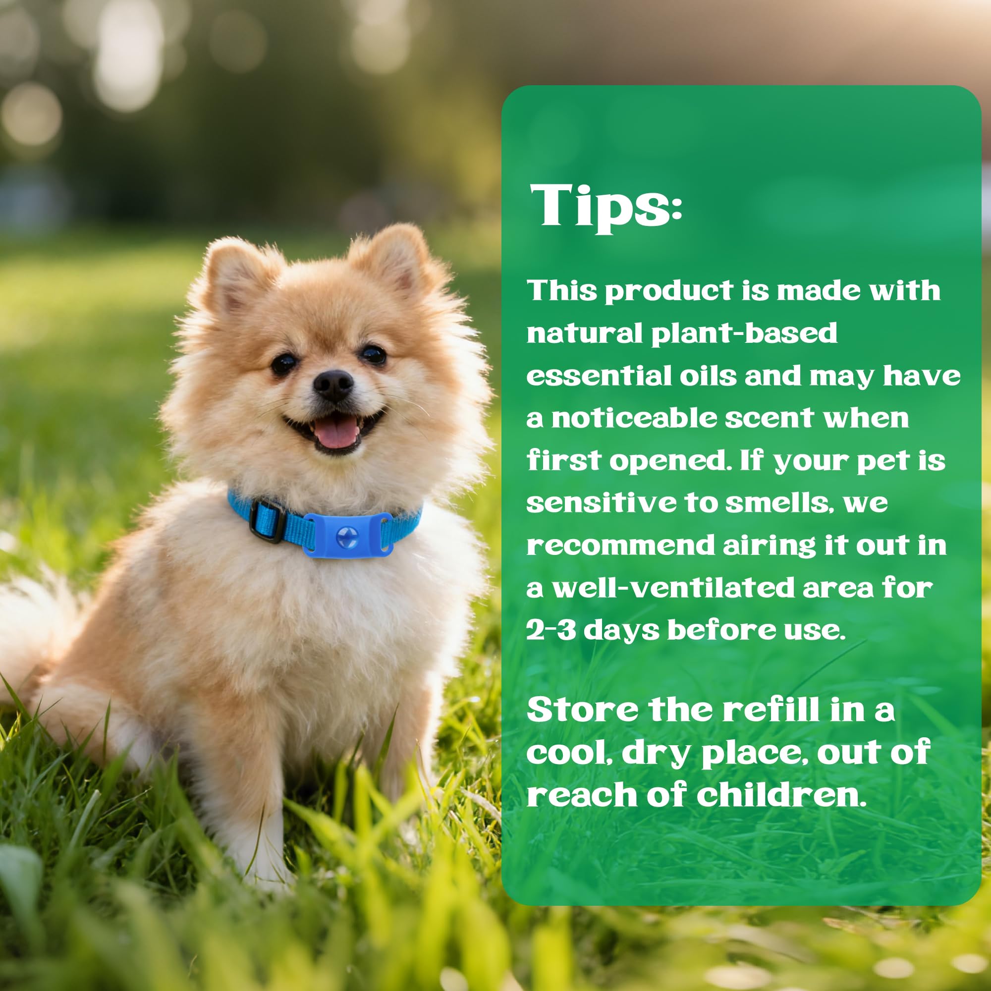 Travel-ready Trihood dog tag shown with standard collar for quick adventures.