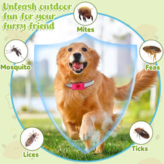 Waterproof and durable pendant suitable for outdoor dogs