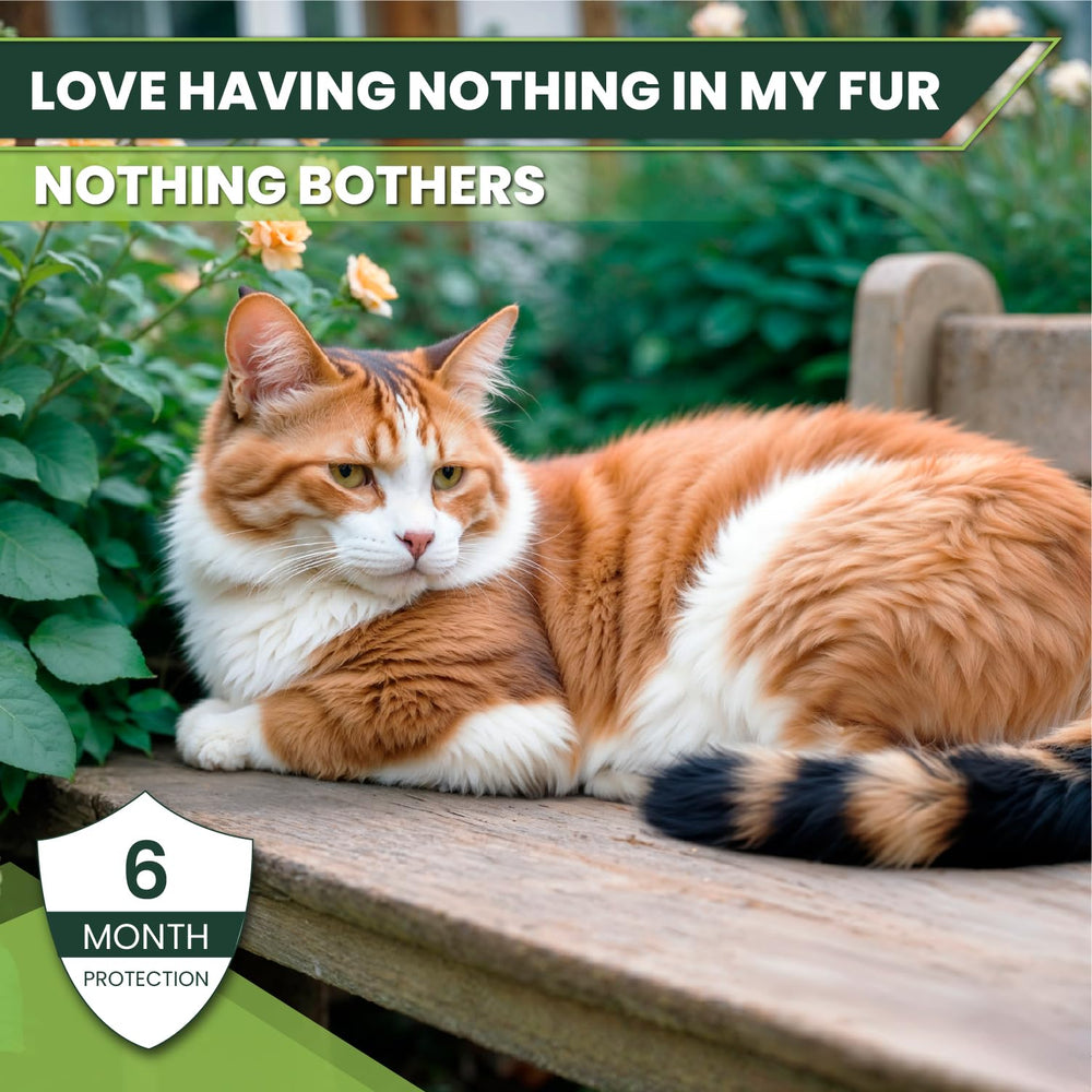 TriOak cat care scenario emphasizes stress-free routine for pet parents