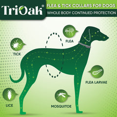 TriOak natural flea collar with essential oils for gentle protection on sensitive skin.