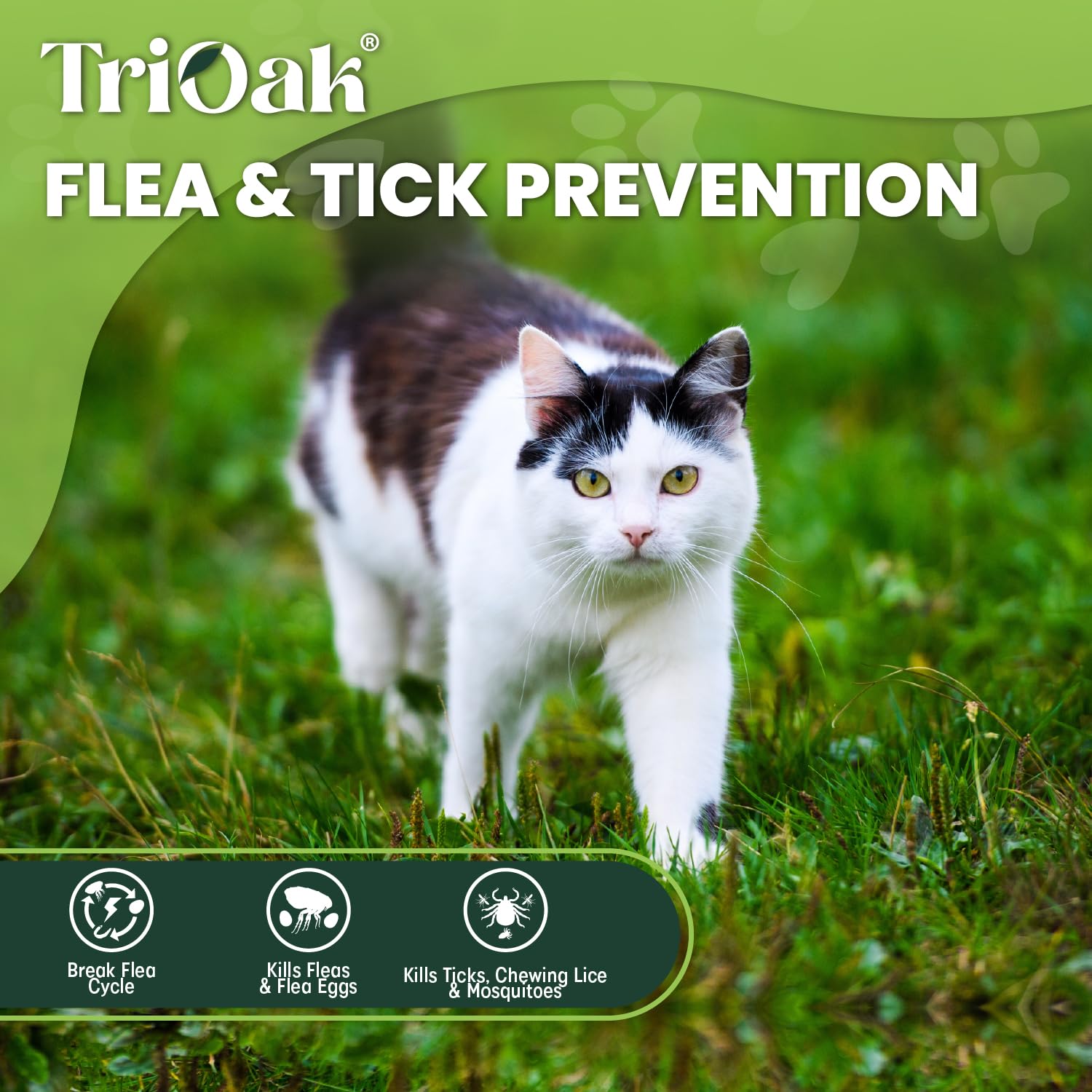 TriOak packaging highlights a six-dose pack for ongoing cat protection